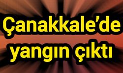 Çanakkale’de yangın çıktı