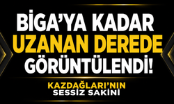 Biga’ya kadar uzanan derede görüntülendi! Kazdağları’nın sessiz sakini