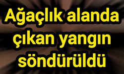 Ağaçlık alanda çıkan yangın söndürüldü
