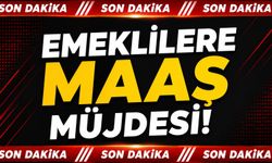 Son Dakika: Emeklilere maaş müjdesi!