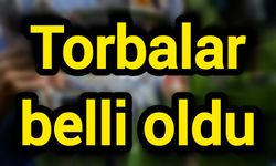 Torbalar belli oldu