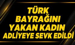 Türk bayrağını yakan kadın adliyeye sevk edildi