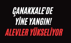 Çanakkale'de yine yangın! Alevler yükseliyor