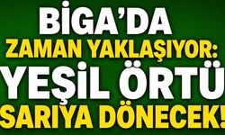 Biga’da zaman yaklaşıyor: Yeşil örtü sarıya dönecek!