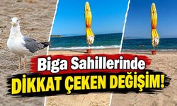 Biga Sahillerinde Dikkat Çeken Değişim!