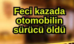 Feci kazada otomobilin sürücü öldü