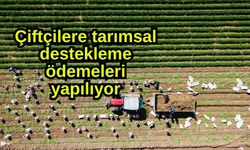 Çiftçilere tarımsal destekleme ödemeleri yapılıyor