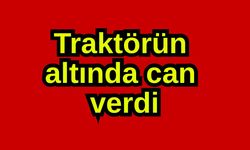 Traktörün altında can verdi