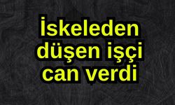 İskeleden düşen işçi can verdi