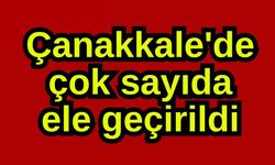 Çanakkale'de çok sayıda ele geçirildi