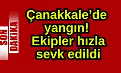 Çanakkale'de yangın! Ekipler hızla sevk edildi