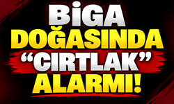 Biga doğasında "Cırtlak" alarmı!