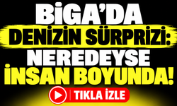 Biga’da denizin sürprizi: Neredeyse insan boyunda!