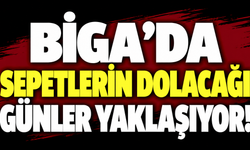 Biga’da sepetlerin dolacağı günler yaklaşıyor!