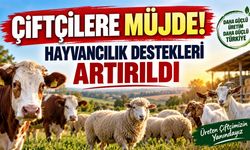 Çiftçilere Müjde! Hayvancılık Destekleri Artırıldı