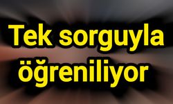 Tek sorguyla öğreniliyor