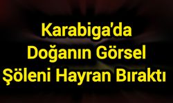 Karabiga'da Doğanın Görsel Şöleni Hayran Bıraktı