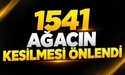 1541 ağacın kesilmesi önlendi