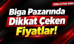 Biga Pazarında Dikkat Çeken Fiyatlar!