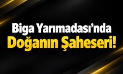 Biga Yarımadası’nda Doğanın Şaheseri!