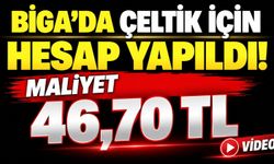 Biga’da Çeltik İçin Hesap Yapıldı: Maliyet 46,70 TL