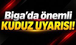 Biga’da önemli kuduz uyarısı!
