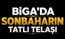 Biga’da sonbaharın tatlı telaşı