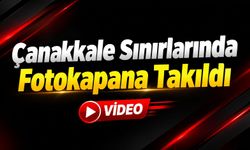 Çanakkale sınırlarında fotokapana takıldı