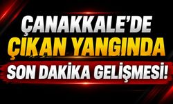 Çanakkale'de çıkan yangında son dakika gelişmesi!