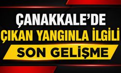 Çanakkale’de çıkan yangınla ilgili son dakika gelişmesi