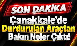 Çanakkale’de Durdurulan Araçtan Bakın Neler Çıktı!