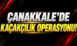 Çanakkale'de kaçakçılık operasyonu!