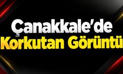 Çanakkale’de Korkutan Görüntü