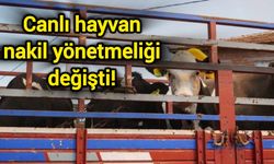 Canlı hayvan nakil yönetmeliği değişti!