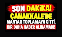 SON DAKİKA! Çanakkale’de Mantar Toplamaya Gitti, Bir Daha Haber Alınamadı!