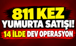 811 kez yumurta satışı! 14 ilde dev operasyon