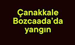 Çanakkale Bozcaada’da yangın