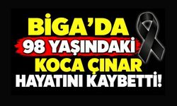 Biga’da 98 Yaşındaki Koca Çınar Hayatını Kaybetti!