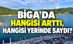 Biga’da hangisi arttı, hangisi yerinde saydı?