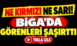 Ne kırmızı ne sarı! Biga’da görenleri şaşırttı
