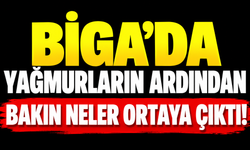 Biga’da yağmurların ardından bakın neler ortaya çıktı!
