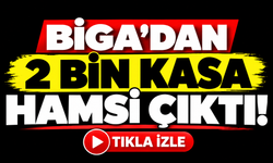 Biga’dan 2 bin kasa hamsi çıktı!