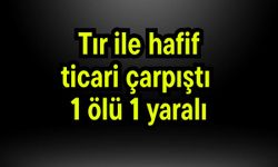 Tır ile hafif ticari çarpıştı 1 ölü 1 yaralı