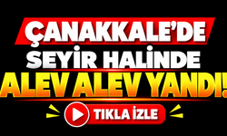 Çanakkale'de seyir halinde alev alev yandı!
