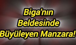 Biga'nın Beldesinde Büyüleyen Manzara!