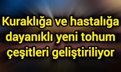 Kuraklığa ve hastalığa dayanıklı yeni tohum çeşitleri geliştiriliyor