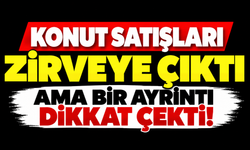 Konut satışları zirveye çıktı ama bir ayrıntı dikkat çekti!