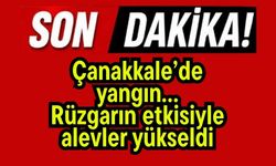 Çanakkale’de yangın… Rüzgarın etkisiyle alevler yükseldi