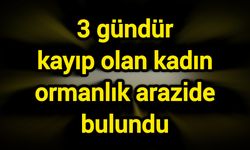 3 gündür kayıp olan kadın ormanlık arazide bulundu