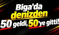 Biga’da denizden 50 geldi, 50’ye gitti!